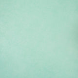 Mint green Enrica scarf